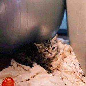 Meet your Posher, Catherine